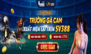 Sv388 – Link vào Svv388 – Xem đá gà trực tiếp Thomo Sfv388 - 1